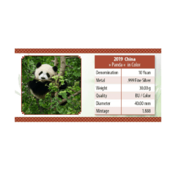 Čínska minca Panda je jednou z najobľúbenejších investičných mincí. Mince „Panda“ sú razené v zlate a striebre a majú každý rok nový dizajn. Táto kolorovaná strieborná minca obsahuje 1 oz 0,999 rýdzeho striebra a je na nej vyobrazenie matky pandy, ktorá drží svoje mláďa. Taoistický chrám nebies v Pekingu je vždy zobrazený na zadnej strane mince. Mince boli zafarbené inovatívnou farebnou technikou a sú dodávané v kapsuli vrátane produktovej karty.