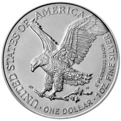 Edíciu American Silver Eagle z roku 2021 razila americká mincovňa z jednej unce rýdzeho striebra. Motív zobrazuje ikonickú bohyňu „Walking Liberty“ od Adolpha A. Weinmana, ktorá kráča k vychádzajúcemu slnku. Na zadnej strane je zobrazený americký orol bielohlavý. Americký orol pri príležitosti svojho 35. výročia „žiari“ v novom vzhľade prvýkrát od uvedenia mince. Nový dizajn vytvorila dizajnérka AIP Emily Damstra a zobrazuje majestátneho bielohlavého orla, ktorý pristáva na dubovú vetvu. Orla obklopujú nápisy „SPOJENÉ ŠTÁTY AMERICKÉ“ a „1OZ. FINE SILVER - ONE DOLLAR“. Strieborná minca 2021 s novým dizajnom je dodávaná voľne bez obalu.
Info: Ak si objednáte 20 mincí, mince sa dodávajú v pôvodnej tube od americkej mincovne.
 