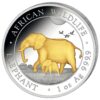 Nová, pozlatená minca „Somalia Elephant“ 2022 populárnej série „African Wildlife Series“ bola vyrazená z jednej unce rýdzeho striebra 99,99 %. Séria African Wildlife sa vyznačuje každoročne sa meniacim motívom a je veľmi obľúbená u investorov po celom svete. Na minci je vyobrazený dizajn African Wildlife Elephant, ktorý zobrazuje slonicu s dieťaťom na potulkách africkou stepou. Pri okraji mince sú nápisy „AFRICAN WILDLIFE“ a „ELEPHANT“, „1 oz“ a rýdzosť „Ag 999,9“. Na rube je zobrazený somálsky štátny znak, ktorý zobrazuje štít s hviezdou podopretou dvoma leopardmi. Pod týmto symbolom sú dva tradičné oštepy a dva palmové listy a nápisy „SOMALSKÁ REPUBLIKA 2022 100 šilingov“. Strieborná minca African Wildlife Elephant sa dodáva voľne.
INFO: V prípade, že si objednáte 20ks mince budú dodané originálnej tube mincovne.
 