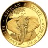 Minca „Somalia Elephant“ 2021 populárnej série „African Wildlife Series“ bola vyrazená z 1/4 unce rýdzeho zlata 999,9 %. 
Séria African Wildlife sa vyznačuje každoročne sa meniacim motívom a je veľmi obľúbená u investorov po celom svete. Na minci je vyobrazená hlava dospelého slona, ktorého chobot akoby vyčnieval z mince. Africká step je na pozadí motívu. Pri okraji mince sú nápisy „AFRICAN WILDLIFE“ a „ELEPHANT“, „1/4 oz“ a rýdzosť „Ag 999,9“. Na rube je zobrazený somálsky štátny znak, ktorý zobrazuje štít s hviezdou podopretou dvoma leopardmi. Pod týmto symbolom sú dva tradičné oštepy a dva palmové listy a nápisy „SOMALSKÁ REPUBLIKA 2021 200 šilingov“. Zlatá minca African Wildlife Elephant sa dodáva v plastovej kapsule.
 