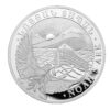 Arménska strieborná minca Noemova archa sa razí od polovice roku 2011, a preto patrí k najmladším predstaviteľom tohto typu mince. Nominálna hodnota mince je v súčasnosti 5000 dram.
Reverz mince na jednej strane zobrazuje národný erb Arménska, nominálnu hodnotu 5000 dramov, rýdzosť 1 oz Ag, 999 a rok vydania. Celkový obraz dopĺňa nápis „Republika Arménsko“, písmená nájdete v dvoch jazykoch (angličtine a arménčine).
Na opačnej strane je zobrazená Noemova archa, holubica s olivovou ratolesťou, hora Ararat v popredí a vychádzajúce slnko v pozadí. Nápis „Noemova archa“ je opäť vyrazený v dvoch jazykoch.  
 