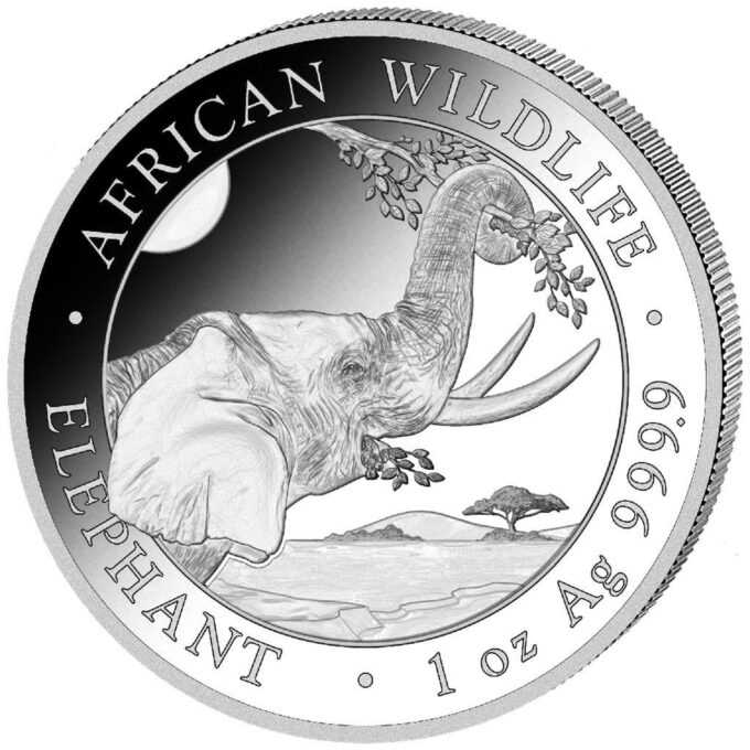 Nová minca „Somalia Elephant“ 2023 populárnej série „African Wildlife Series“ bola vyrazená z jednej unce rýdzeho striebra 99,99 %. Séria African Wildlife sa vyznačuje každoročne sa meniacim motívom a je veľmi obľúbená u investorov po celom svete.
Na minci „African Wildlife - Elephant „ je tento rok vyobrazená, hlava úplne dospelého slona, ktorý obopína svoj chobot okolo visiacej vetvy. V pozadí sa črtá africká stepná krajina. Pri okraji mince sú nápisy „AFRICAN WILDLIFE“ a „ELEPHANT“, „1 oz“ a rýdzosť „Ag 999,9“.
Na rube je zobrazený somálsky štátny znak, ktorý zobrazuje štít s hviezdou podopretou dvoma leopardmi. Pod týmto symbolom sú dva tradičné oštepy a dva palmové listy a nápisy „SOMALSKÁ REPUBLIKA 2023, 100 šilingov“. Strieborná minca African Wildlife Elephant sa dodáva voľne.
INFO: V prípade, že si objednáte 20ks mince budú dodané originálnej tube mincovne.