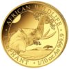 Nová, pozlatená minca „Somalia Elephant“ 2023 populárnej série „African Wildlife Series“ bola vyrazená z jednej desatiny unce rýdzeho zlata 999,9 %. Séria African Wildlife sa vyznačuje každoročne sa meniacim motívom a je veľmi obľúbená u investorov po celom svete.
Na minci „African Wildlife - Elephant „ je tento rok vyobrazená, hlava úplne dospelého slona, ktorý obopína svoj chobot okolo visiacej vetvy. V pozadí sa črtá africká stepná krajina. Pri okraji mince sú nápisy „AFRICAN WILDLIFE“ a „ELEPHANT“, „1/10 oz“ a rýdzosť „Ag 999,9“.
Na rube je zobrazený somálsky štátny znak, ktorý zobrazuje štít s hviezdou podopretou dvoma leopardmi. Pod týmto symbolom sú dva tradičné oštepy a dva palmové listy a nápisy „SOMALSKÁ REPUBLIKA 2023, 100 šilingov“.