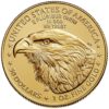 Minca American Eagle 2023 je razená americkou mincovňou z jednej unce zlata v UNC kvalite. Na motíve je Lady Liberty kráčajúca sebavedomo proti slnečným lúčom. V pravej ruke drží pochodeň a v ľavej olivovú ratolesť, ktorá symbolizuje mier. Na rube je vyobrazený americký orol bielohlavý. Nový dizajn vytvorila Jennie Norris a zobrazuje pôsobivý detailný portrét orla, ktorý je obklopený nápismi "SPOJENÉ ŠTÁTY AMERICKÉ" a "1 OZ. FINE GOLD - 50 DOLLARS". Populárna minca American Gold Eagle s novým dizajnom je dodávaná voľne – bez obalu.