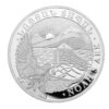 Arménska strieborná minca Noemova archa sa razí od polovice roku 2011, a preto patrí k najmladším predstaviteľom tohto typu mince. Nominálna hodnota mince je v súčasnosti 200 dram.
Reverz mince na jednej strane zobrazuje národný erb Arménska, nominálnu hodnotu 200 dramov, rýdzosť 1/2 oz Ag, 999 a rok vydania. Celkový obraz dopĺňa nápis „Republika Arménsko“, písmená nájdete v dvoch jazykoch (angličtine a arménčine).
Na opačnej strane je zobrazená Noemova archa, holubica s olivovou ratolesťou, hora Ararat v popredí a vychádzajúce slnko v pozadí. Nápis „Noemova archa“ je opäť vyrazený v dvoch jazykoch.  
Mince sú balené v tube po 20 ks a masterbox obsahuje 500 ks mincí.