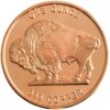 Táto minca poskytuje jeden z najznámejších zberateľských vzorov zo všetkých amerických mincí za prijateľnú cenu s krásnym prevedením návrhu Jamesa Earle Frasera z roku 1913 - Buffalo Nickel.
Dizajn týchto mince vychádza z originálnej mince vydanej americkou mincovňou.
Lícna strana: Prevedenie dizajnu „Buffalo Nickel“ od Jamesa Earla Frasera z roku 1913 z profilu amerického Buffala.

Minca je vyrazená z 1 unce rýdzej, investičnej medi. Nemá žiadnu oficiálnu nominálnu hodnotu. Hmotnosť (1 unca) a rýdzosť (999 meď) sú však vyrazené na zadnej strane.
V tejto súvislosti treba poznamenať, že hmotnosť sa meria v Avoirdupois unciach a nie, ako je to zvyčajne na trhu drahých kovov, v trójskych unciach. Jeden AVDP oz zodpovedá cca. 28,349 gramov.