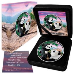 Strieborná investičná minca Panda 30 g, rýdzosť striebra 999/1000, ročník 2021, kolorovaná verzia. Motív pandy sa každý rok mení.
