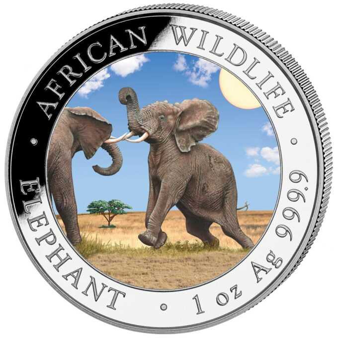 Nová minca „Somalia Elephant“ 2024 populárnej série „African Wildlife Series“ bola vyrazená z jednej unce rýdzeho striebra 99,9 %. Séria African Wildlife sa vyznačuje každoročne sa meniacim motívom a je veľmi obľúbená u investorov po celom svete.
Na minci „African Wildlife - Elephant „sú tento rok vyobrazený dvaja sloní samci, ktorí medzi sebou bojujú. V pozadí sa črtá africká stepná krajina. Pri okraji mince sú nápisy „AFRICAN WILDLIFE“ a „ELEPHANT“, „1 oz“ a rýdzosť „Au 999,9“.
Na rube je zobrazený somálsky štátny znak, ktorý zobrazuje štít s hviezdou podopretou dvoma leopardmi. Pod týmto symbolom sú dva tradičné oštepy a dva palmové listy a nápisy „SOMALSKÁ REPUBLIKA 2023, 1000 šilingov“.
Minca African Wildlife Elephant sa dodáva v ochrannej kapsuly.