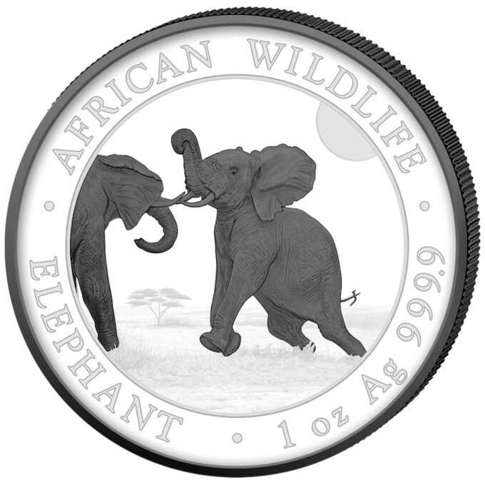 Táto „Black & White“ sada mince „Somalian Elephant“ je vyhotovená z dvoch mincí slon 2024 - populárnej africkej divočiny. Jedna minca s čiernym pozadím a druhá s bielym pozadím. Obe mince boli vyrazené z jednej unce 99,99% čistého striebra v UNC stave a BK kvalite. Nakoniec boli mince potiahnuté čiernym ruténiom a dostali čiastočú bielu maľbu.
Minca „Somalia Elephant“ 2024 populárnej série „African Wildlife Series“ bola vyrazená z jednej unce rýdzeho striebra 99,99 %. Séria African Wildlife sa vyznačuje každoročne sa meniacim motívom a je veľmi obľúbená u investorov po celom svete.
Na minci „African Wildlife - Elephant „ zobrazuje dvoch sloních samcov, ktorí medzi sebou bojujú. V pozadí sa črtá africká stepná krajina. Pri okraji mince sú nápisy „AFRICAN WILDLIFE“ a „ELEPHANT“, „1 oz“ a rýdzosť „Ag 999,9“.
Na rube je zobrazený somálsky štátny znak, ktorý zobrazuje štít s hviezdou podopretou dvoma leopardmi. Pod týmto symbolom sú dva tradičné oštepy a dva palmové listy a nápisy „SOMALSKÁ REPUBLIKA 2023, 100 šilingov“.
Limitovaná sada Black & White Elephant je dodávaná v originálnej krabici vrátane certifikátu pravosti.