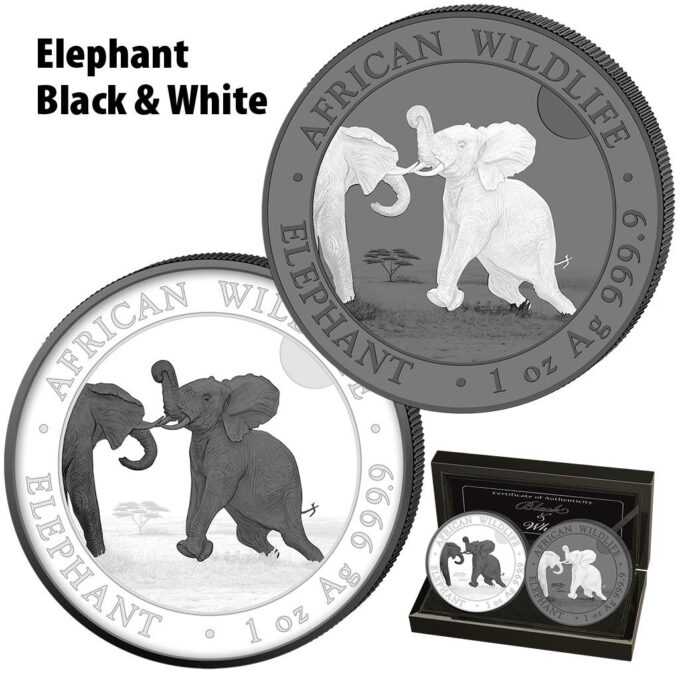 Táto „Black & White“ sada mince „Somalian Elephant“ je vyhotovená z dvoch mincí slon 2024 - populárnej africkej divočiny. Jedna minca s čiernym pozadím a druhá s bielym pozadím. Obe mince boli vyrazené z jednej unce 99,99% čistého striebra v UNC stave a BK kvalite. Nakoniec boli mince potiahnuté čiernym ruténiom a dostali čiastočú bielu maľbu.
Minca „Somalia Elephant“ 2024 populárnej série „African Wildlife Series“ bola vyrazená z jednej unce rýdzeho striebra 99,99 %. Séria African Wildlife sa vyznačuje každoročne sa meniacim motívom a je veľmi obľúbená u investorov po celom svete.
Na minci „African Wildlife - Elephant „ zobrazuje dvoch sloních samcov, ktorí medzi sebou bojujú. V pozadí sa črtá africká stepná krajina. Pri okraji mince sú nápisy „AFRICAN WILDLIFE“ a „ELEPHANT“, „1 oz“ a rýdzosť „Ag 999,9“.
Na rube je zobrazený somálsky štátny znak, ktorý zobrazuje štít s hviezdou podopretou dvoma leopardmi. Pod týmto symbolom sú dva tradičné oštepy a dva palmové listy a nápisy „SOMALSKÁ REPUBLIKA 2023, 100 šilingov“.
Limitovaná sada Black & White Elephant je dodávaná v originálnej krabici vrátane certifikátu pravosti.