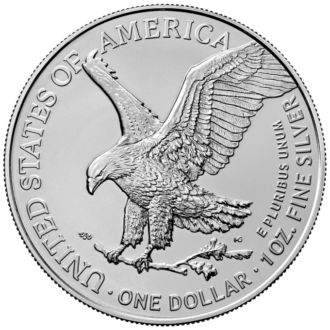 Edíciu American Silver Eagle 2024 razila americká mincovňa z jednej unce rýdzeho 999% striebra. Motív zobrazuje ikonickú bohyňu „Walking Liberty“ od Adolpha A. Weinmana, ktorá kráča k vychádzajúcemu slnku. 
Na zadnej strane je zobrazený americký orol bielohlavý. Dizajn amerického orla bol pri príležitosti svojho 35. výročia v roku 2022 zmenený. Dizajn navrhla dizajnérka AIP Emily Damstra a zobrazuje majestátneho bielohlavého orla, ktorý pristáva na dubovú vetvu. Orla obklopujú nápisy „SPOJENÉ ŠTÁTY AMERICKÉ“ a „1OZ. FINE SILVER - ONE DOLLAR“. Strieborná minca 2024 s novým dizajnom je dodávaná voľne bez obalu.
Info: Ak si objednáte 20 mincí, mince sa dodávajú v pôvodnej tube od americkej mincovne.
 
