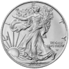 Edíciu American Silver Eagle 2024 razila americká mincovňa z jednej unce rýdzeho 999% striebra. Motív zobrazuje ikonickú bohyňu „Walking Liberty“ od Adolpha A. Weinmana, ktorá kráča k vychádzajúcemu slnku.
Na zadnej strane je zobrazený americký orol bielohlavý. Dizajn amerického orla bol pri príležitosti svojho 35. výročia v roku 2022 zmenený. Dizajn navrhla dizajnérka AIP Emily Damstra a zobrazuje majestátneho bielohlavého orla, ktorý pristáva na dubovú vetvu. Orla obklopujú nápisy „SPOJENÉ ŠTÁTY AMERICKÉ“ a „1OZ. FINE SILVER - ONE DOLLAR“. Strieborná minca 2024 s novým dizajnom je dodávaná voľne bez obalu.
Info: Ak si objednáte 20 mincí, mince sa dodávajú v pôvodnej tube od americkej mincovne.
 