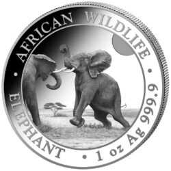 Nová minca „Somalia Elephant“ 2024 populárnej série „African Wildlife Series“ bola vyrazená z jednej unce rýdzeho striebra 99,9 %. Séria African Wildlife sa vyznačuje každoročne sa meniacim motívom a je veľmi obľúbená u investorov po celom svete.
Na minci „African Wildlife - Elephant „sú tento rok vyobrazený dvaja sloní samci, ktorí medzi sebou bojujú. V pozadí sa črtá africká stepná krajina. Pri okraji mince sú nápisy „AFRICAN WILDLIFE“ a „ELEPHANT“, „1 oz“ a rýdzosť „Au 999,9“.
Na rube je zobrazený somálsky štátny znak, ktorý zobrazuje štít s hviezdou podopretou dvoma leopardmi. Pod týmto symbolom sú dva tradičné oštepy a dva palmové listy a nápisy „SOMALSKÁ REPUBLIKA 2024, 1000 šilingov“.
INFO: V prípade, že si objednáte 20ks mince budú dodané originálnej tube mincovne.