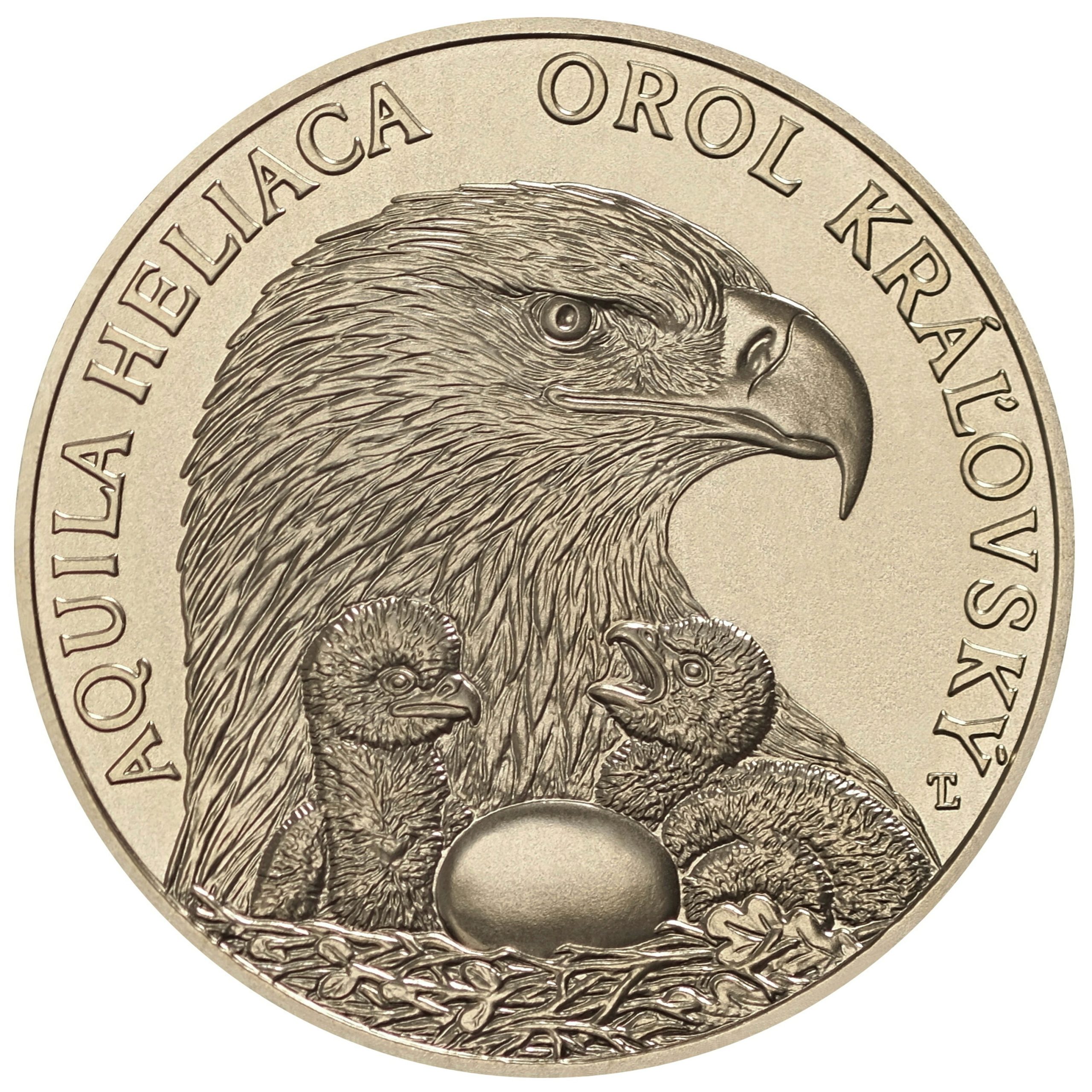 Fauna a flóra na Slovensku – orol kráľovskýZberateľská eurominca z obyčajných kovov v nominálnej hodnote 5 eurMajestátny kráľ nížin – orol kráľovský je naším najvzácnejším druhom orla. Aj keď názov „kráľovský“ evokuje výnimočnú veľkosť, nie je naším najväčším orlom. Jeho výnimočnosť spočíva v jeho pôvode. Na našom území sa začal rozširovať od polovice 20. storočia zo stepných oblastí južnej Európy. Od ostatných orlov sa odlišuje hlavne dvoma výraznými bielymi škvrnami na krídlach. Hniezdi v korunách stromov a živí sa najmä drobnými hlodavcami, mladými zajacmi, bažantmi, jarabicami aj krkavcovitými druhmi. Samica znáša jedno až tri vajcia, z ktorých sa po 43. až 45. dňoch liahnu mláďatá. Z hniezda vylietajú po 70. až 75. dňoch od vyliahnutia. Potravu zo začiatku zháňa len samec. Neskôr, keď už sú mláďatá väčšie, aj samica. Orol kráľovský patrí medzi chránené druhy živočíchov. Na Slovensku hniezdi približne 100 párov, čím sa zaraďuje medzi najvýznamnejšie európske krajiny z hľadiska jeho ochrany.