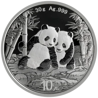 Strieborná investičná minca Panda 30 g, rýdzosť striebra 999/1000, ročník 2026. Motív pandy sa každý rok mení.